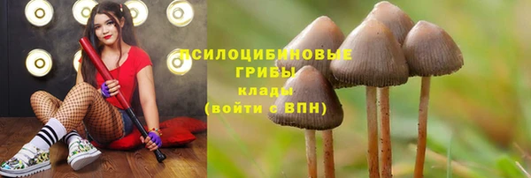 ALPHA PVP Арсеньев
