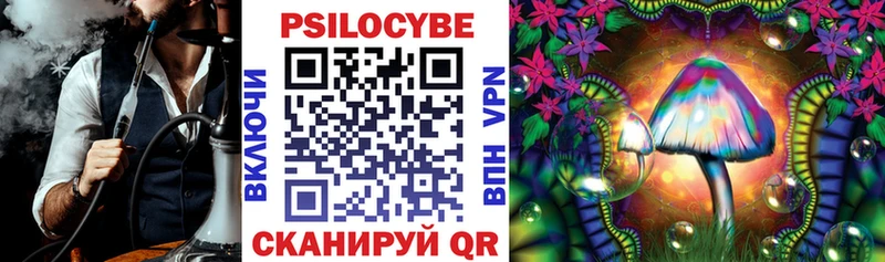 MEGA сайт  Новопавловск  Псилоцибиновые грибы GOLDEN TEACHER 
